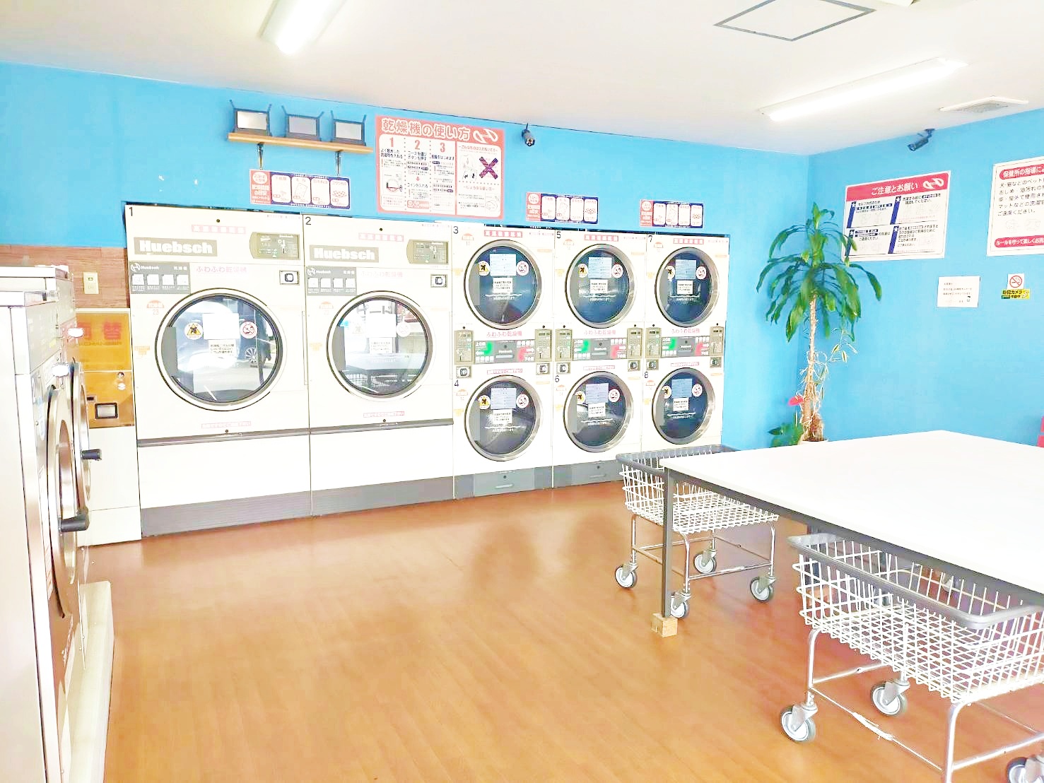 店内